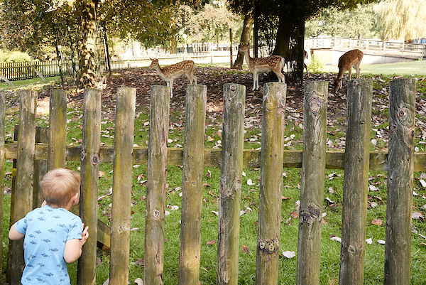 Bijzonder wonen op Levendig Landgoed Huize Padua door het dierenparkje
